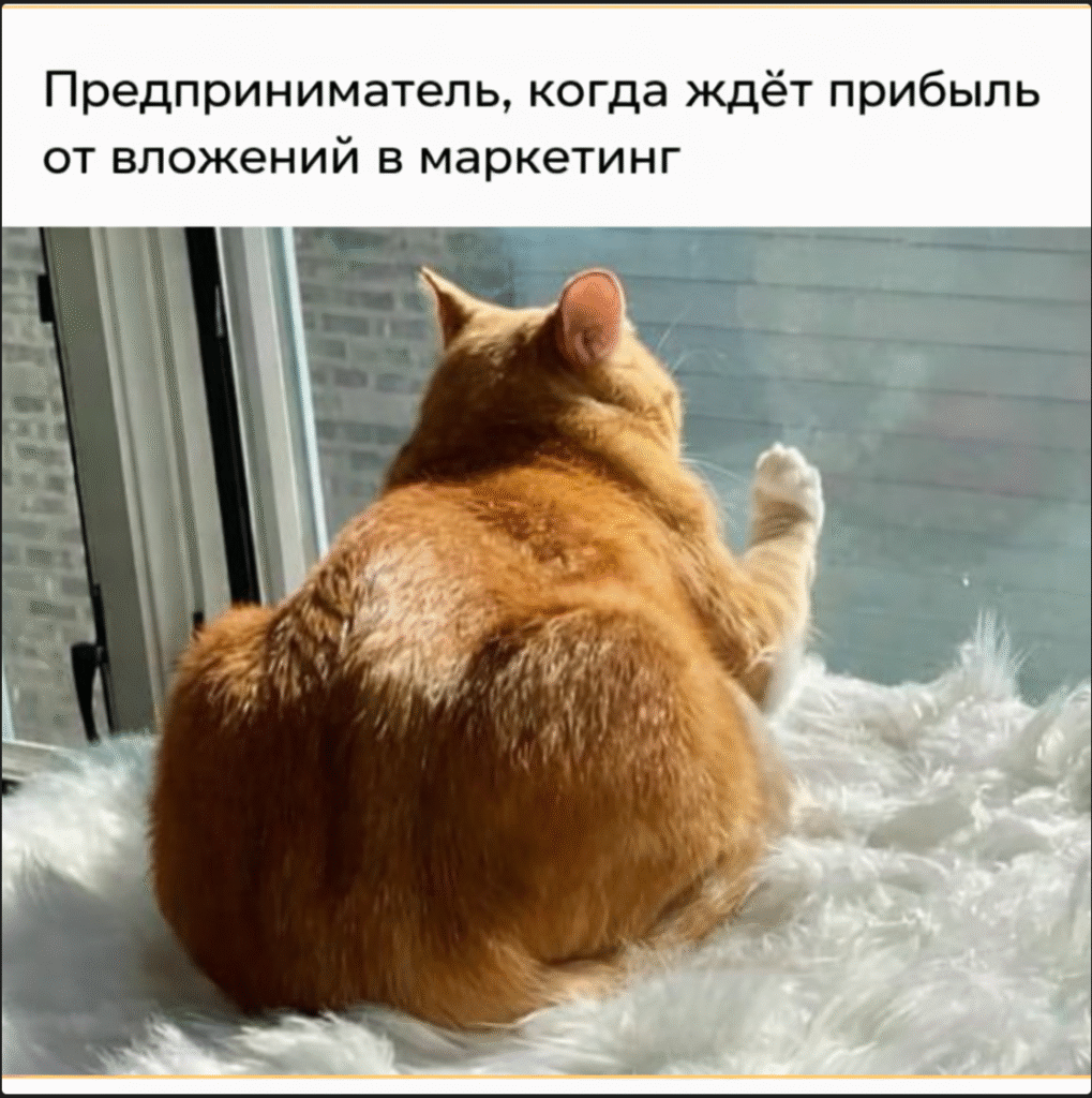 Планирование и прогнозирование ROMI: как оценить эффективность маркетинговых инвестиций