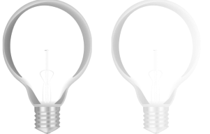 bulbs image